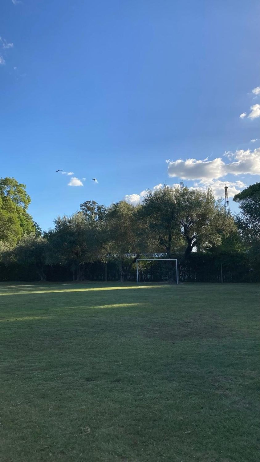 Cancha de fútbol con arco, rodeada de árboles